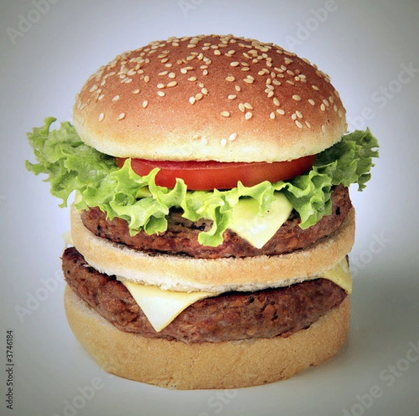 Obraz Duży hamburger