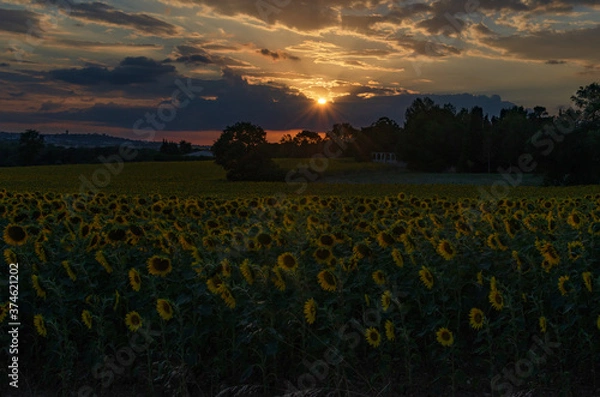 Obraz Sunset in Castelnaudary