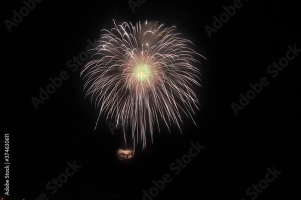 Fototapeta 2018山形赤川花火大会