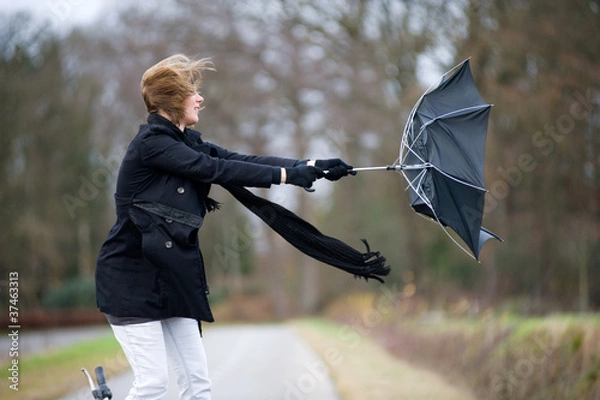 Obraz Walka z wiatrem