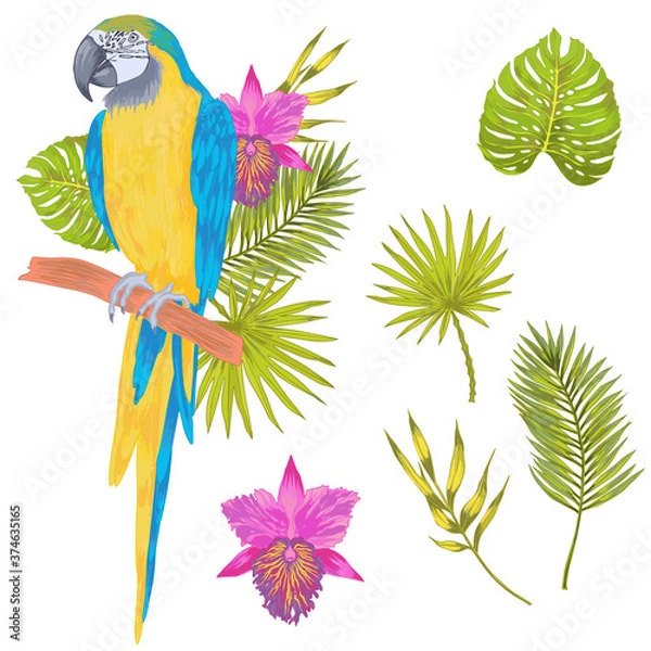 Obraz Vector with watercolor effect parrot macaw sitting on a branch with tropical leaves and flower