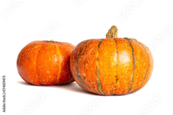 Obraz two ripe orange pumpkins isolated on white background closeup