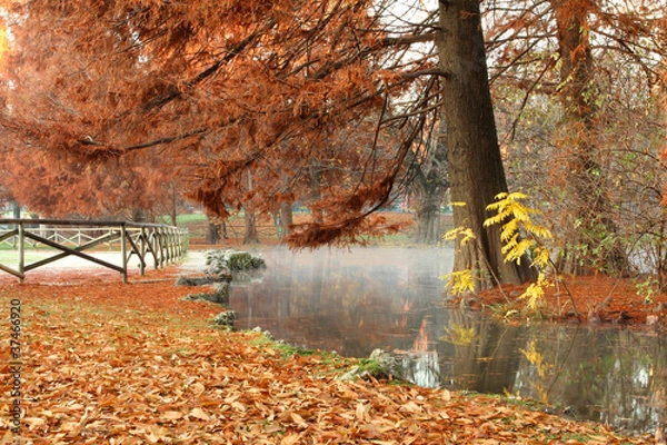 Fototapeta Paesaggio autunnale