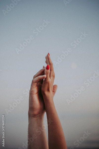 Fototapeta intertwined hands of a man and a woman on a gray background,