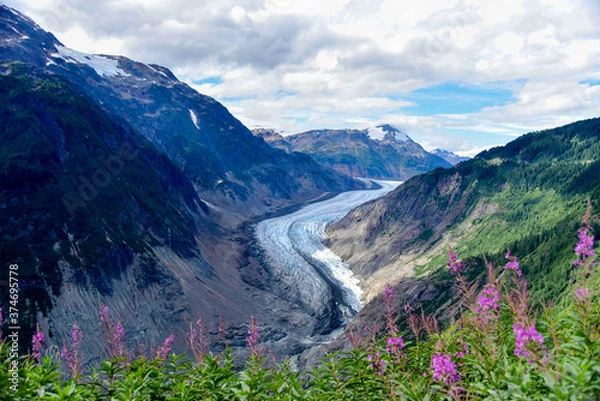 Obraz Salmon Glacier