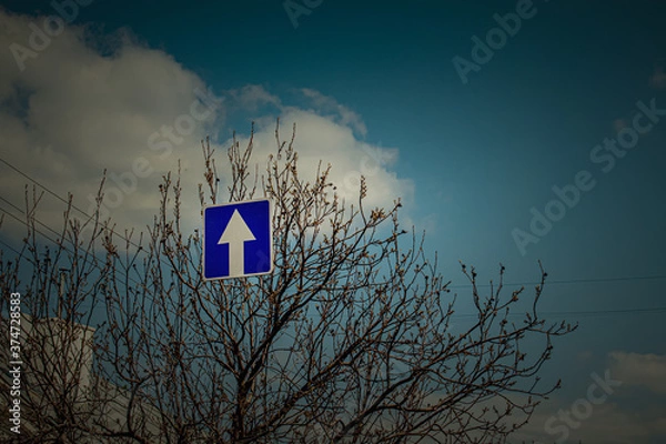 Obraz road sign on a tree