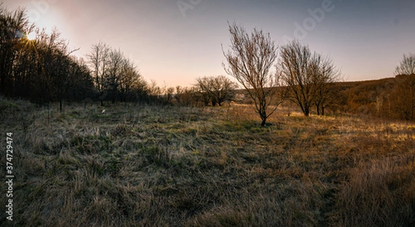 Obraz sunset in the field