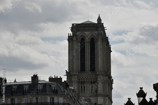 Fototapeta Notre Dame de Paris, Reconstruction after the fire, Notre Dame de Paris, Reconstruccion despues del incendio
