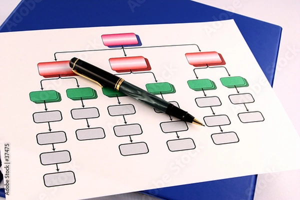 Obraz organization chart 1