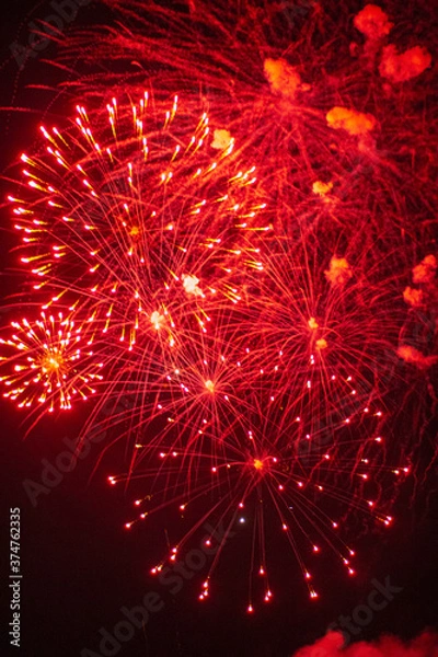 Obraz fireworks in the night sky