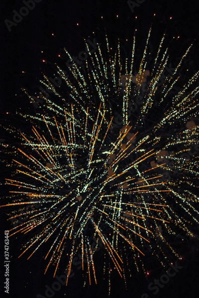 Obraz fireworks in the night sky