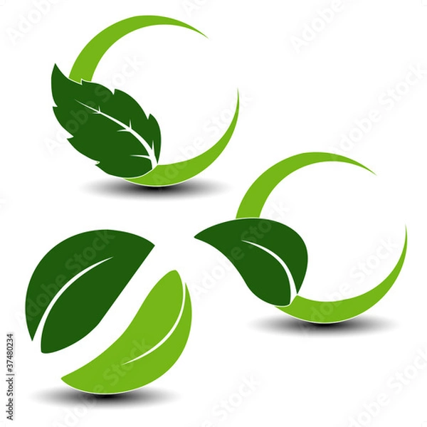 Obraz Vector natural symbols with leaf