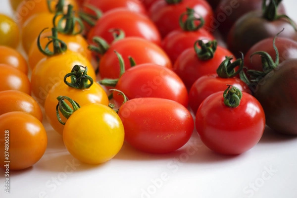 Obraz カラフルなトマト03