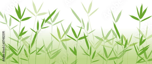 Fototapeta Bambus Hintergrund