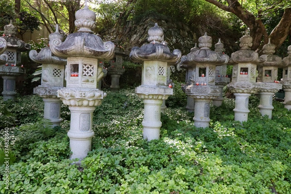 Fototapeta 応頂山 勝尾寺 ダルマ寺