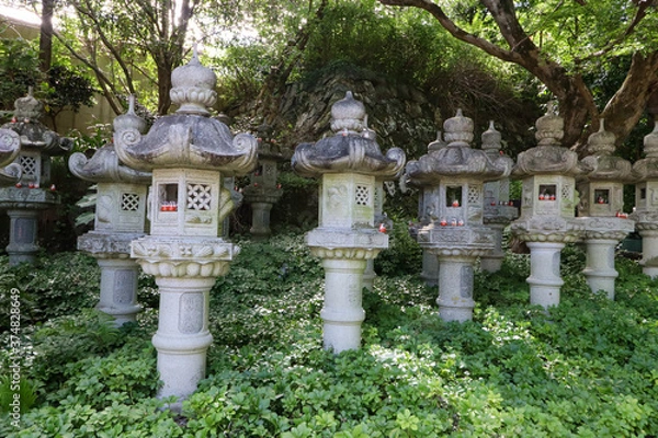 Fototapeta 応頂山 勝尾寺 ダルマ寺