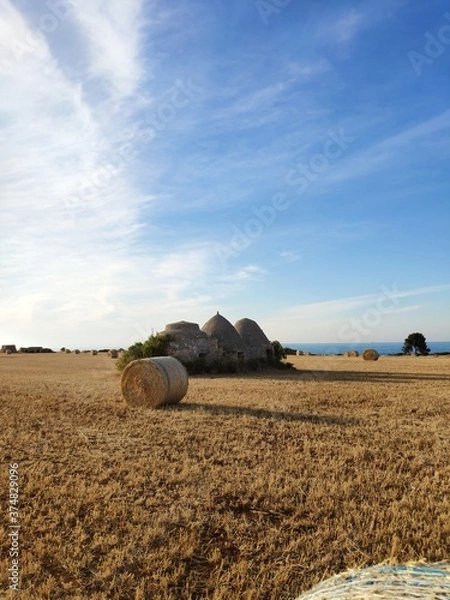 Obraz Costa Ripagnola - Polignano a Mare 