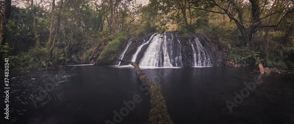 Obraz waterfall in the forest