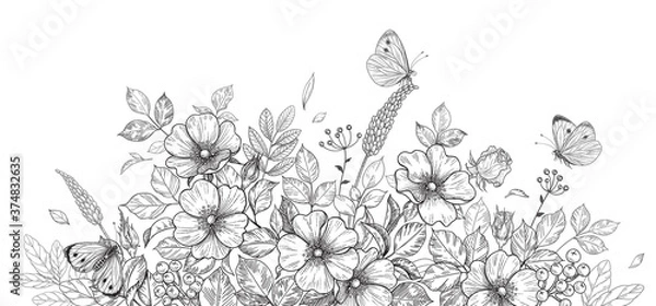 Obraz Hand Drawn Wild Flowers, Dog-Rose and Butterflies