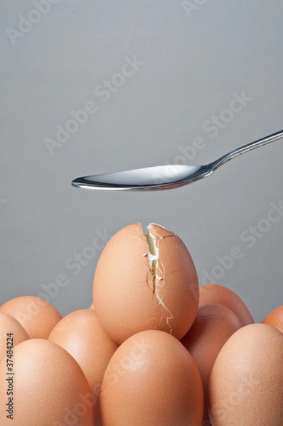 Obraz spoon creak an egg