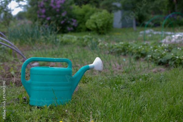 Obraz A watering pot in a lawn