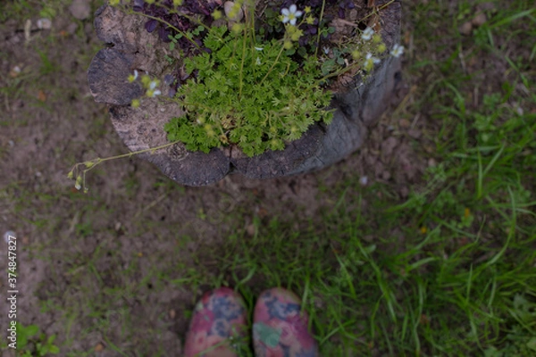 Obraz Working day in a garden