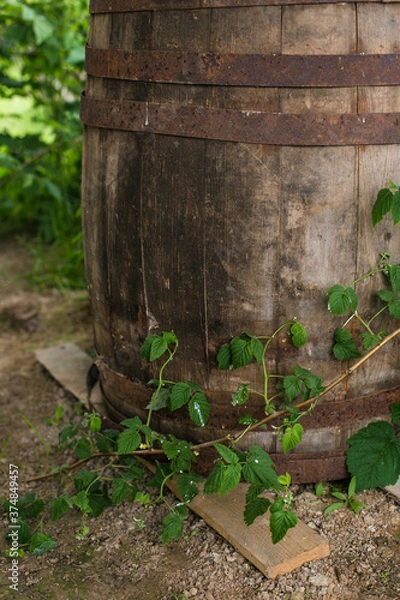 Obraz old wooden barrel
