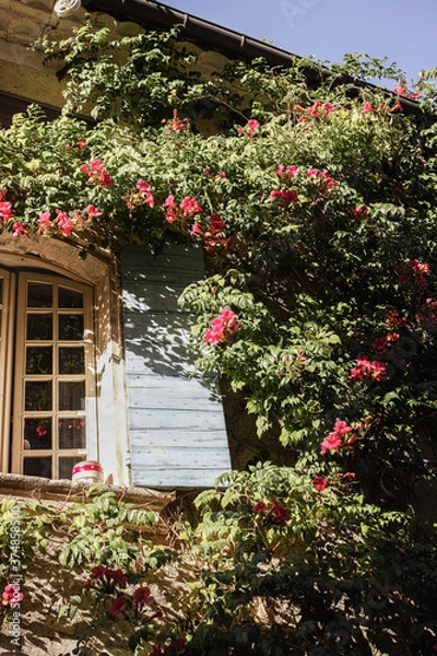 Obraz finestra e fiori