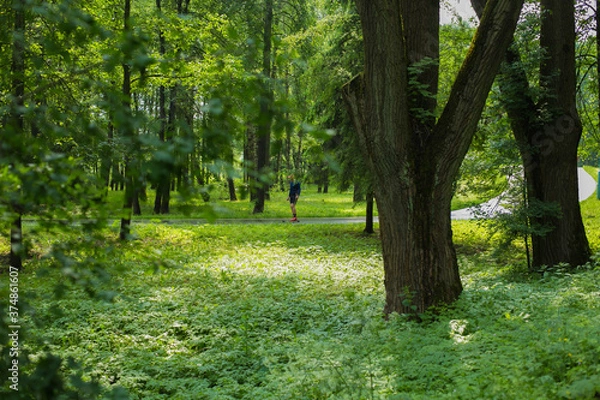 Obraz summer skier in the park