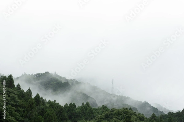 Fototapeta OLYMPUS DIGITAL CAMERA