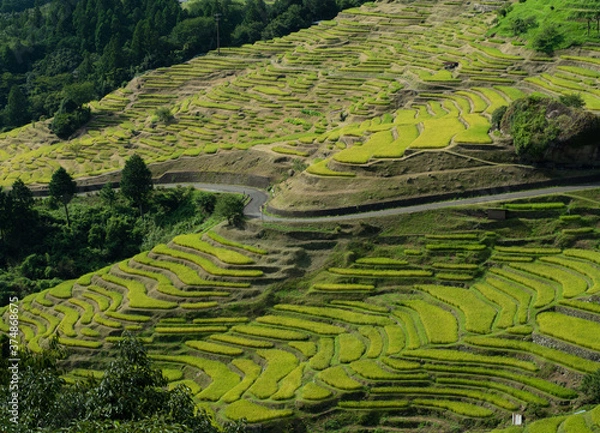 Fototapeta OLYMPUS DIGITAL CAMERA