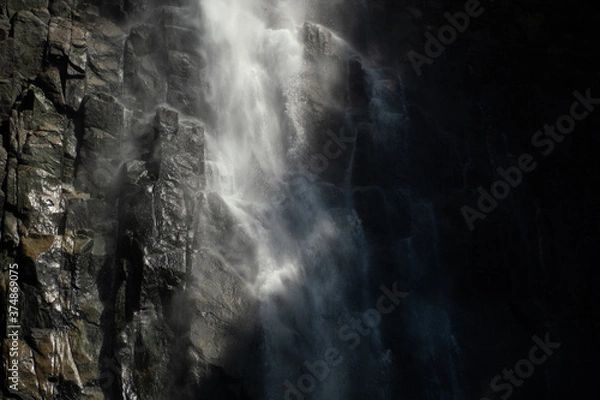 Fototapeta OLYMPUS DIGITAL CAMERA