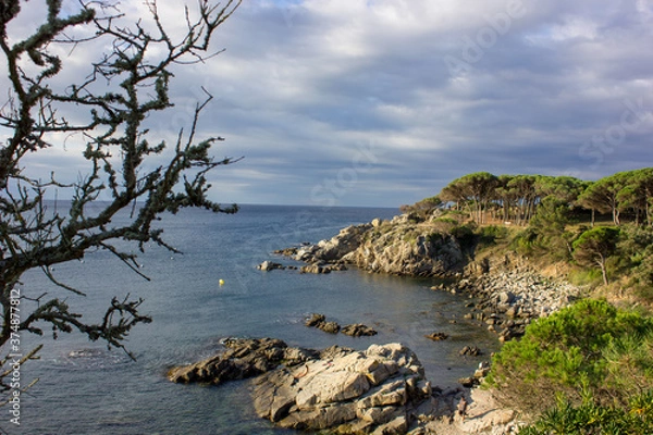 Fototapeta landscape from a mountain looking at the sea with trees
