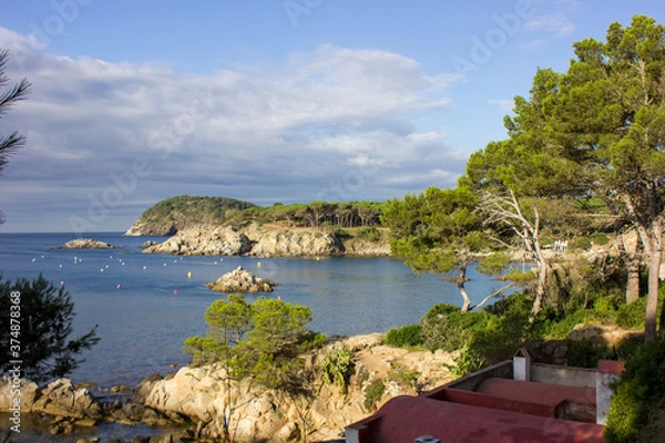 Fototapeta landscape from a mountain looking at the sea with trees