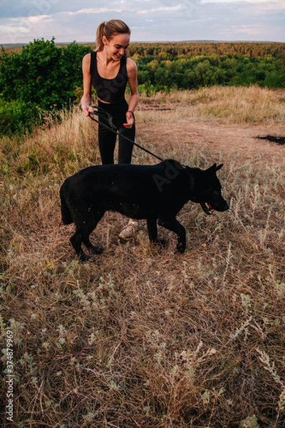Fototapeta Young slender girl at sunset plays with a sheepdog
