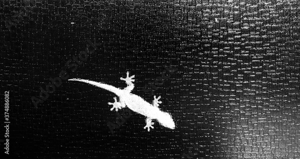 Obraz ニホンヤモリ