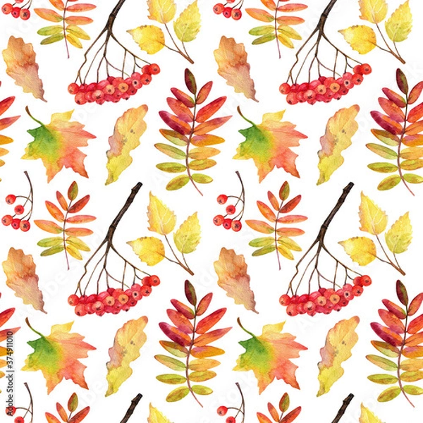 Obraz Autumn seamless pattern. Watercolor autumn leaves and bunches of rowan on white.