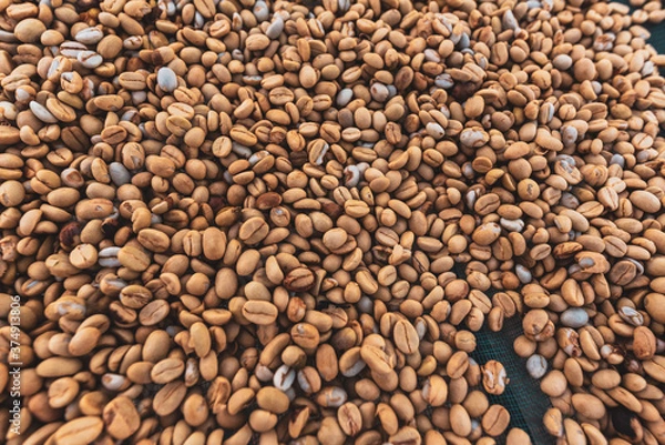 Obraz coffee beans background