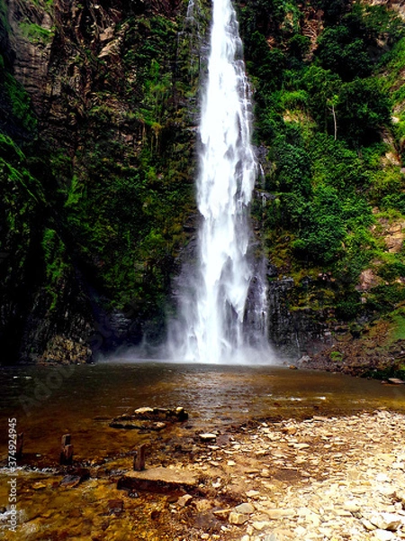 Obraz waterfall in the forest