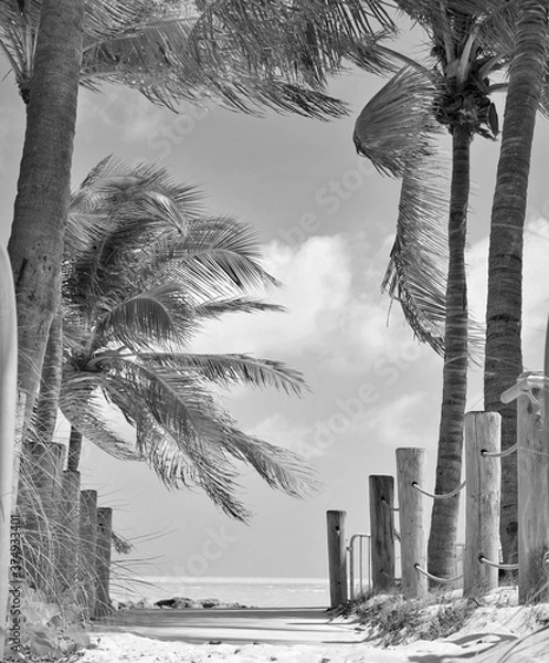 Fototapeta GLOOMY BEACH