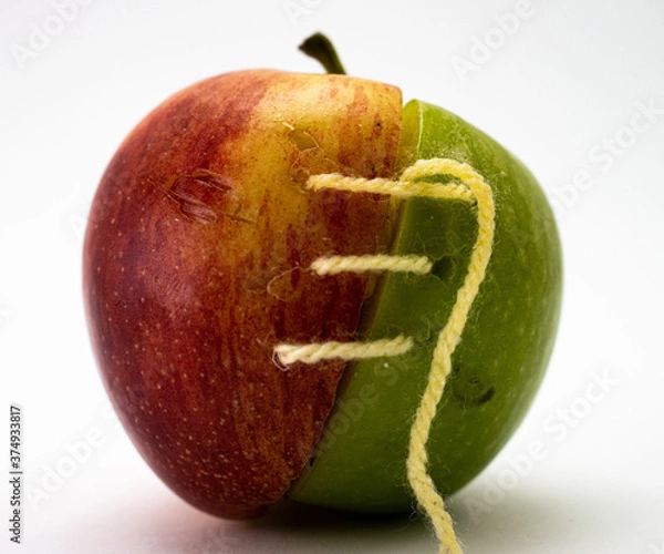 Obraz hybrid apple green and red sown together