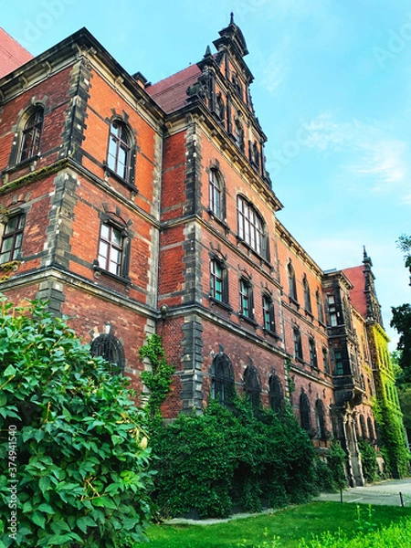 Fototapeta Poland, August 2020. National Museum in Wroclaw, Lower Silesia. All covered in colorful summer ivy.