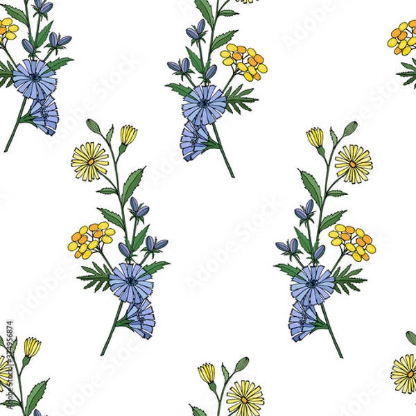 Obraz Colorful seamless pattern from wild flowers of chicory, tansy on a white background. Vector illustration for festive design, packaging, wallpaper, fabric, textile, stationery, accessories.