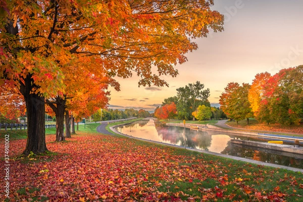 Obraz autumn in the park
