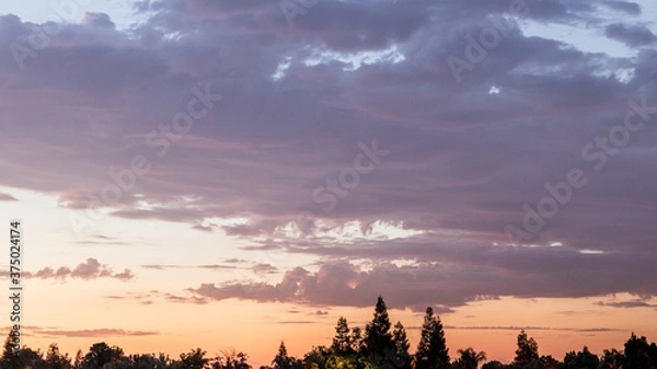 Obraz sunset in the forest