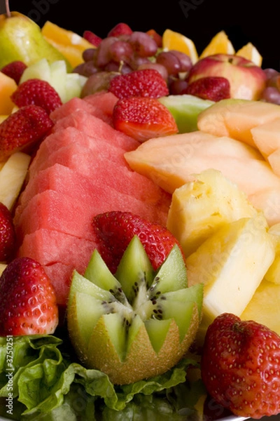 Obraz Fruit Salad Platter