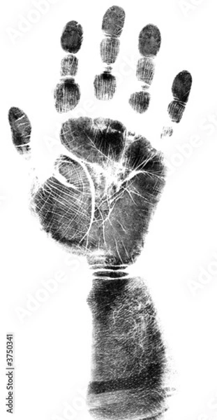 Fototapeta Full hand and Armprint - Simple monochrome image.