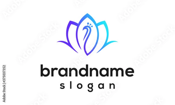 Fototapeta Beautiful peacock logo design vector