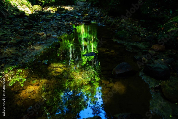 Fototapeta 写った景色は