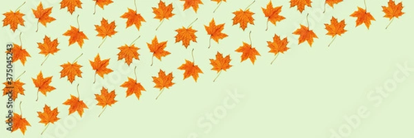 Fototapeta Pattern made of dry autumn leaves on light green background.